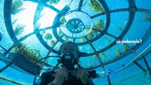 Nemo's Garden - podwodne farmy i ewolucja w uprawie roślin
