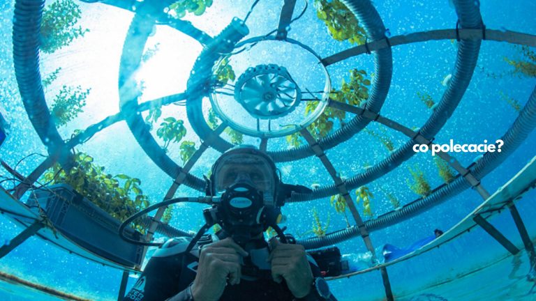 Nemo’s Garden – podwodne farmy i ewolucja w uprawie roślin